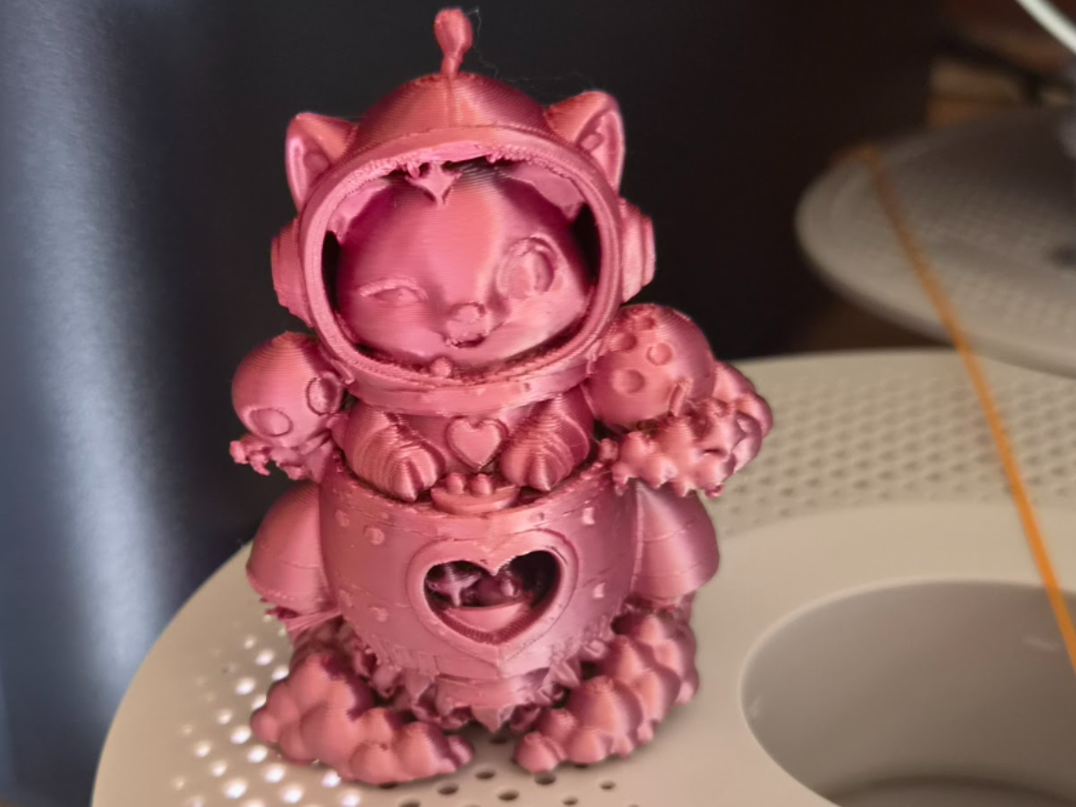 cute space cat