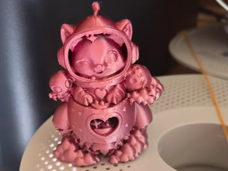 cute space cat