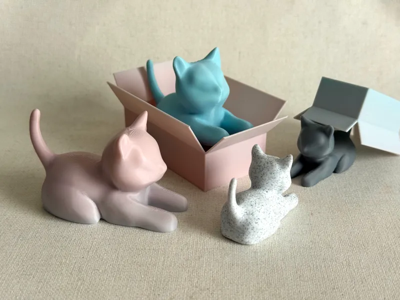 Cat and box