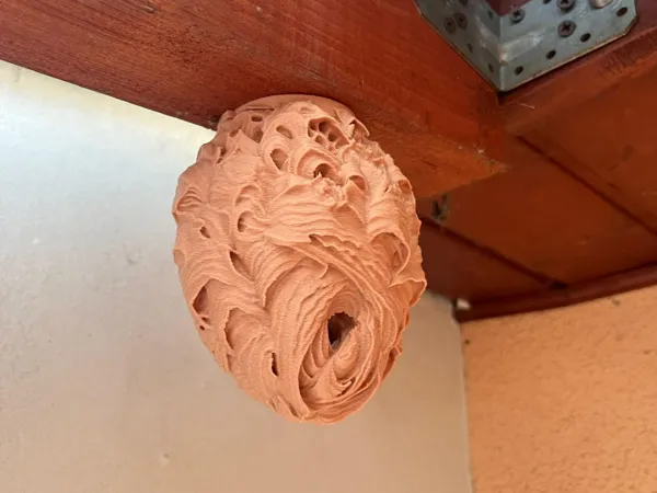 https://makerworld.bblmw.com/makerworld/model/USb91b5eb861fb56/design/2c9a0b8a7a876c80.jpg