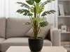 Artificial Plant