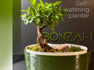 Bonsai tree pot 'Bonzai-1'