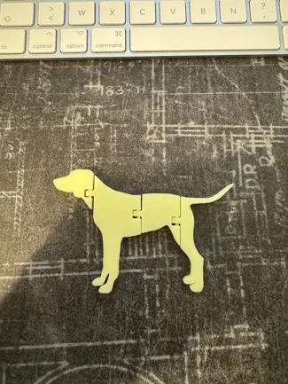 Flexi Dog - chien flexible