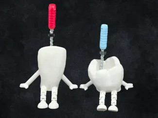 Tooth Endodontic Buddy - Root canal