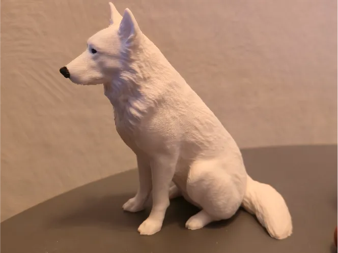White German shepherd