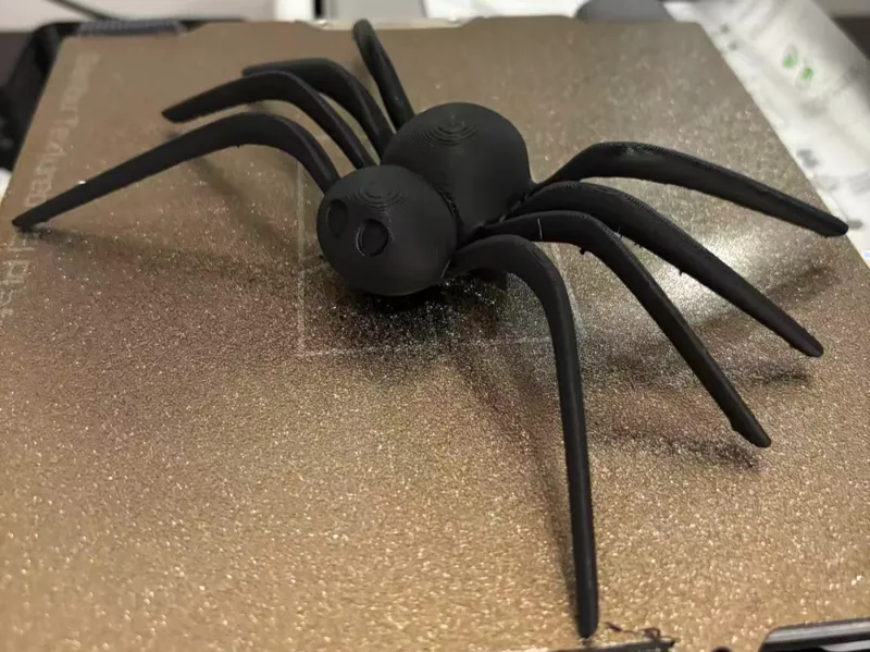 Cute Spider