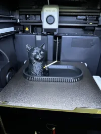 CAT+CIGARETTE+TRAY - 0.2mm layer, 2 walls, 15% infill