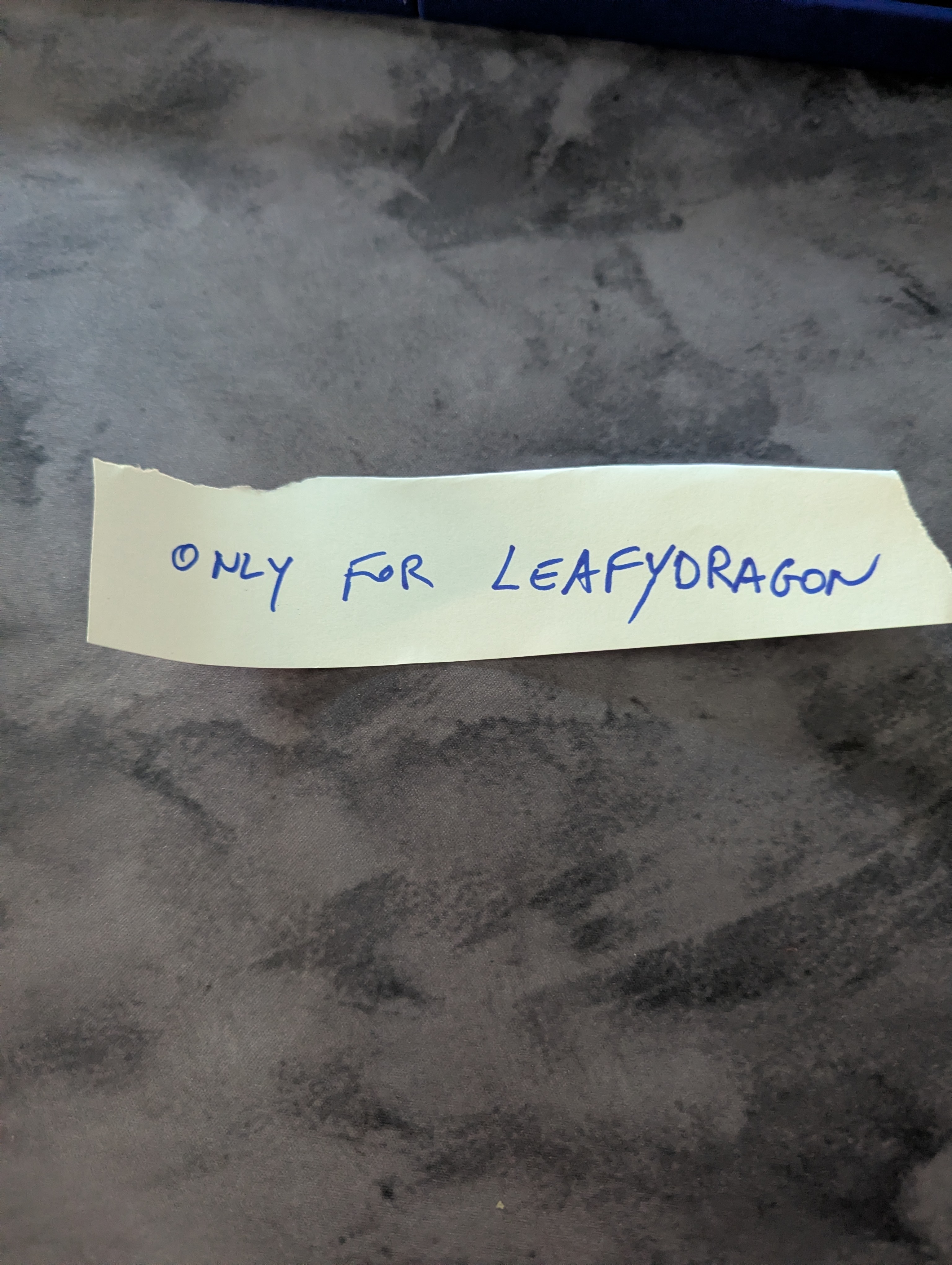 Pour mod Leafydragon TM6