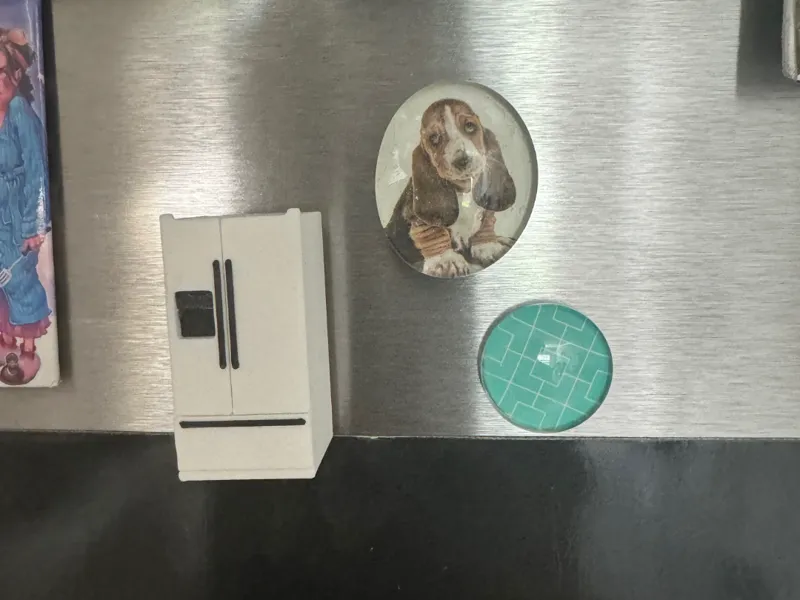 Fridge Magnet