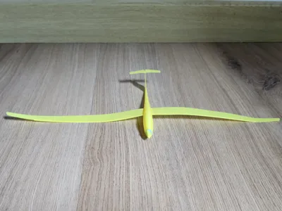 ASW20 Sailplane (micro glider - flyable)