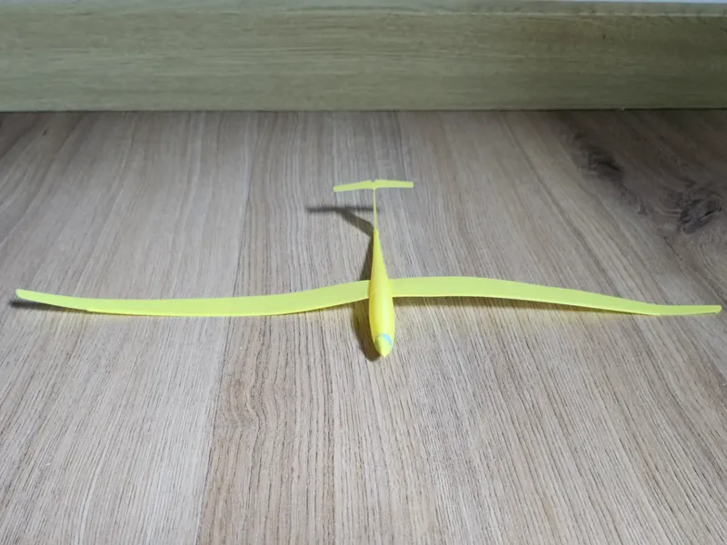ASW20 Sailplane (micro glider - flyable)