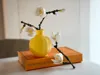 Orchid mini - full kit