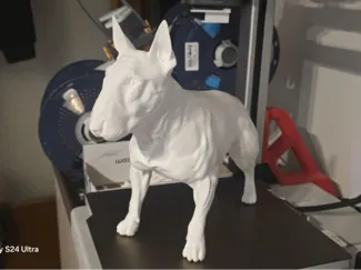 Bullterrier dog