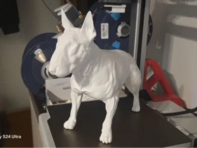 Bullterrier dog