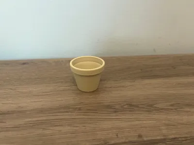 Flower Pot
