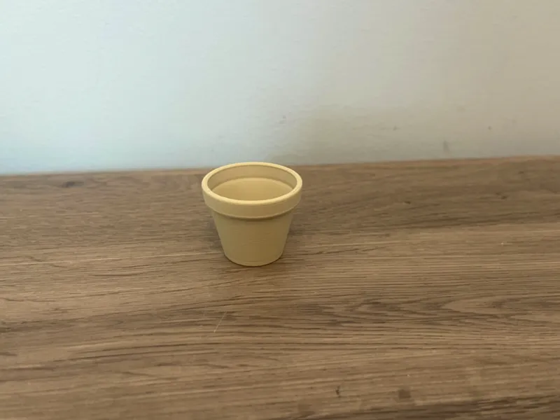 Flower Pot