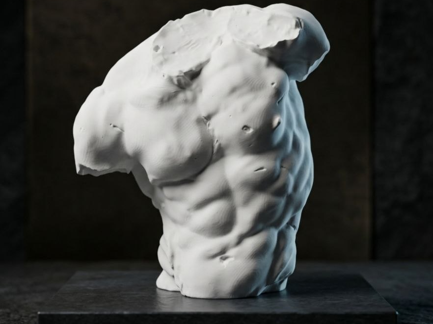 Classical Male Torso Sculpture - Torso Gaddi
