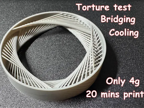 https://makerworld.bblmw.com/makerworld/model/USb93c55d154077e/design/2024-12-07_083524eeea989.jpg