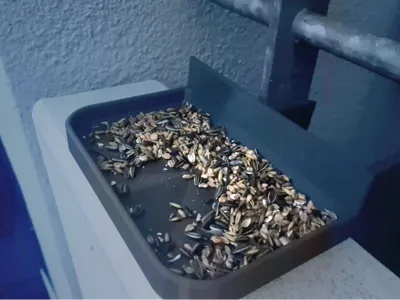 Bird Feeder 