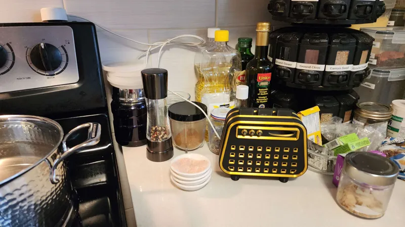 Radio Cover for Google Home Mini Remix