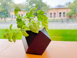 Cuboctahedron Planter