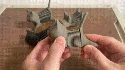 弹簧猫
