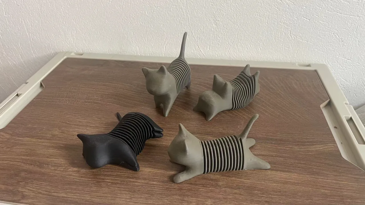 弹簧猫 view 3