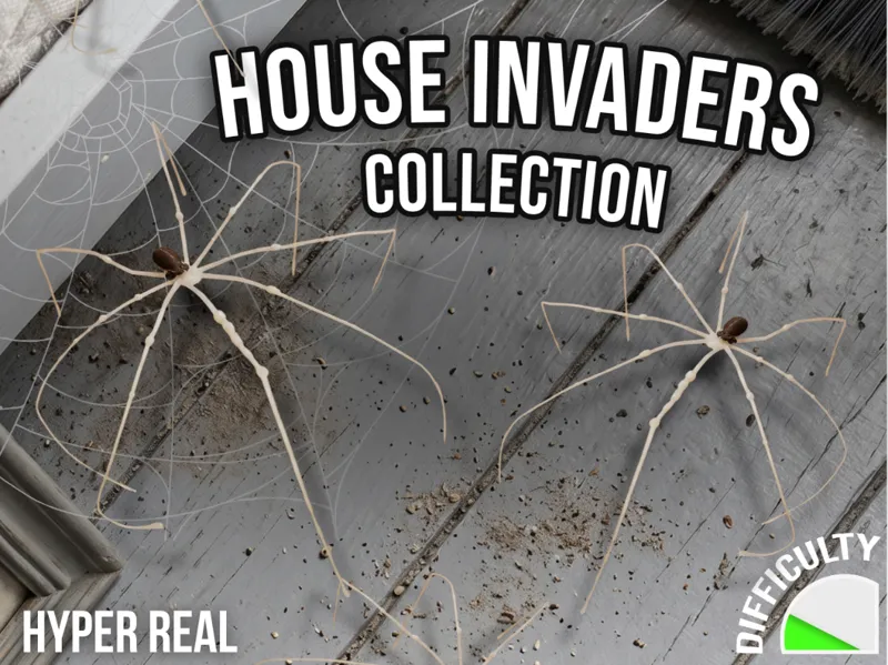 House Invaders - Daddy long-legs spider