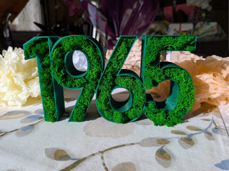 Number 1965 Moss Birthday