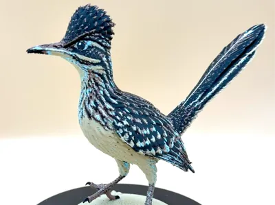 Desert Dash Roadrunner
