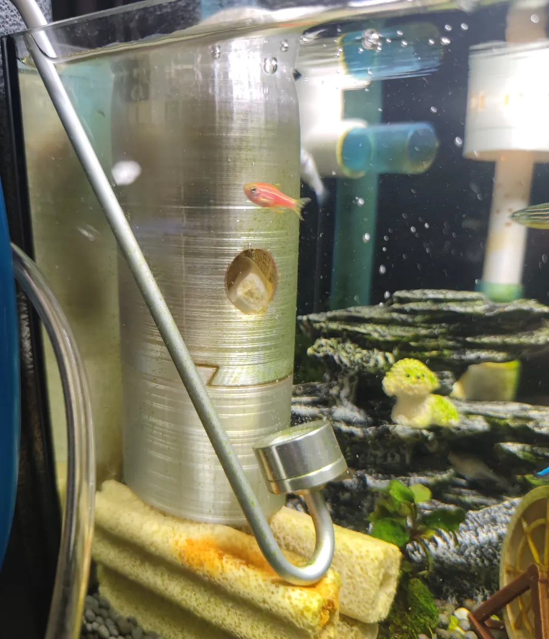 鱼缸下水培菌增氧过滤盒