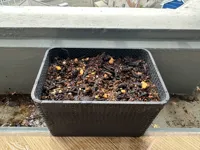 0.28mm layer, 2 walls, 15% infill