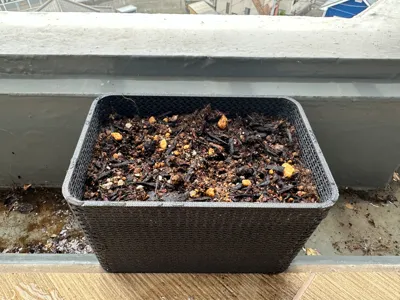 Rounded Rectangle Herb Planter 150x100mm
