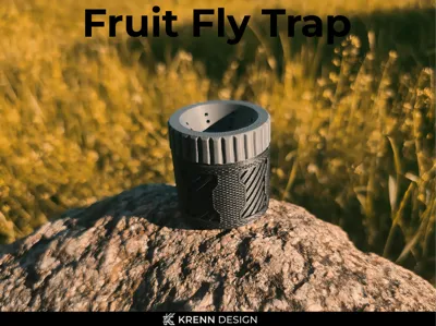 Fruit Fly Trap