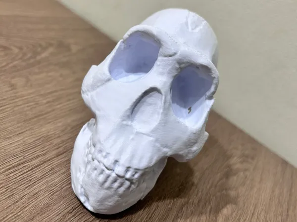 https://makerworld.bblmw.com/makerworld/model/USb954976d11ba55/design/2025-11-06_68f676fde8fe8.jpg