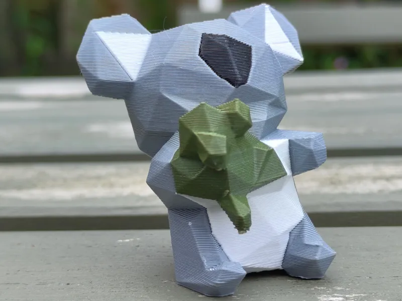 Eucalyptus Koala 