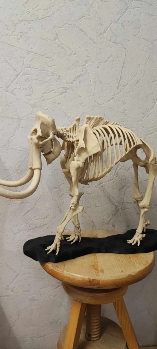 https://makerworld.bblmw.com/makerworld/model/USb9631bbcdb4231/design/2024-02-20_747aa7d2f15b.jpg