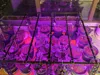Five-by-five pre-plated; 0.2mm layer, 2 walls, 15% infill