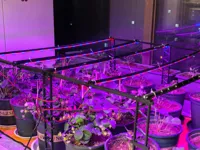 全部零件,根据需要计算复制相应数量。尺寸较大请做好防翘边。切片中添加了裙边以供参考。