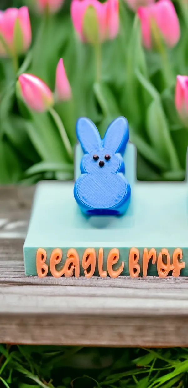 https://makerworld.bblmw.com/makerworld/model/USb968a3bba188d5/design/2024-03-03_3690c677a2d668.jpg