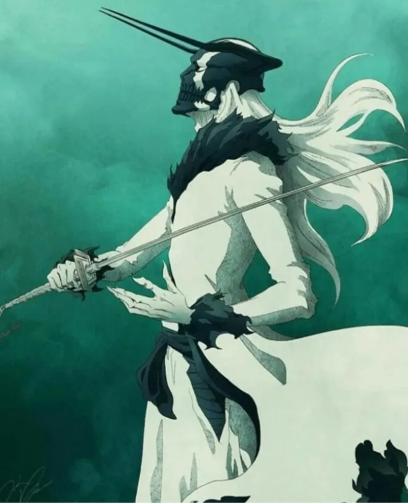 Tensa Zangetsu and White Vasto Lorde