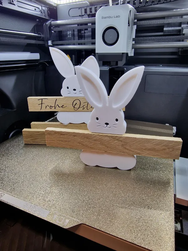 https://makerworld.bblmw.com/makerworld/model/USb96a3271ba8fe4/design/2024-03-27_460b2c5307344.jpg
