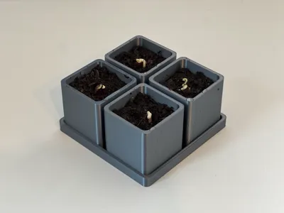 Plants - Seedling Pot