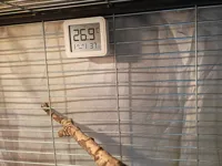 横丝鸟笼配置