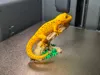 0.2mm layer, 2 walls, 8% infill