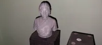 0.1mm layer, 2 walls, 15% infill