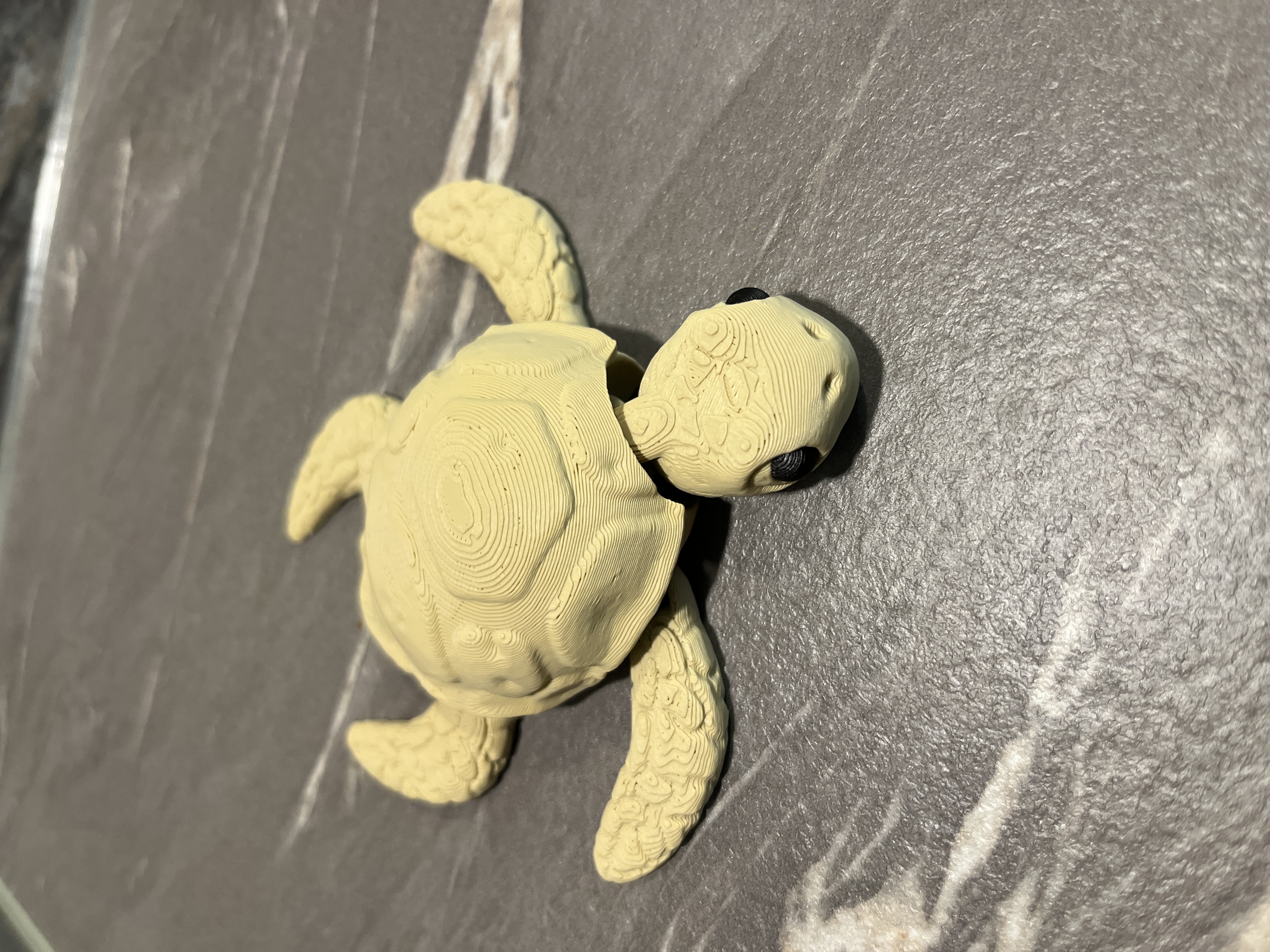 Miniatura 2 do modelo 3D Articulated Turtle