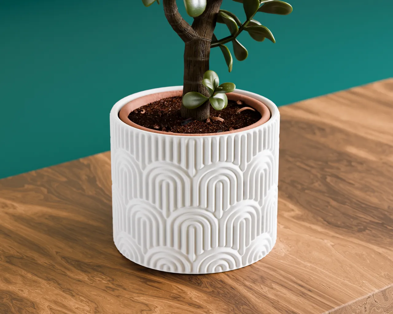 Indoor Plant Pot view 2