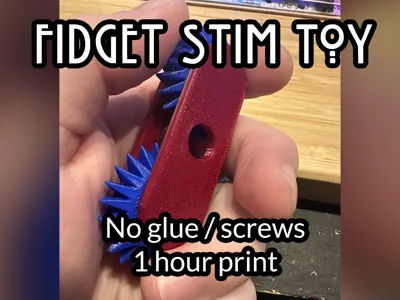 Fidget Stim Toy