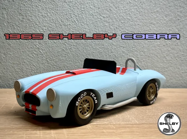 https://makerworld.bblmw.com/makerworld/model/USb977d1ba6e20a1/design/2024-06-21_17ab6c027620a.png